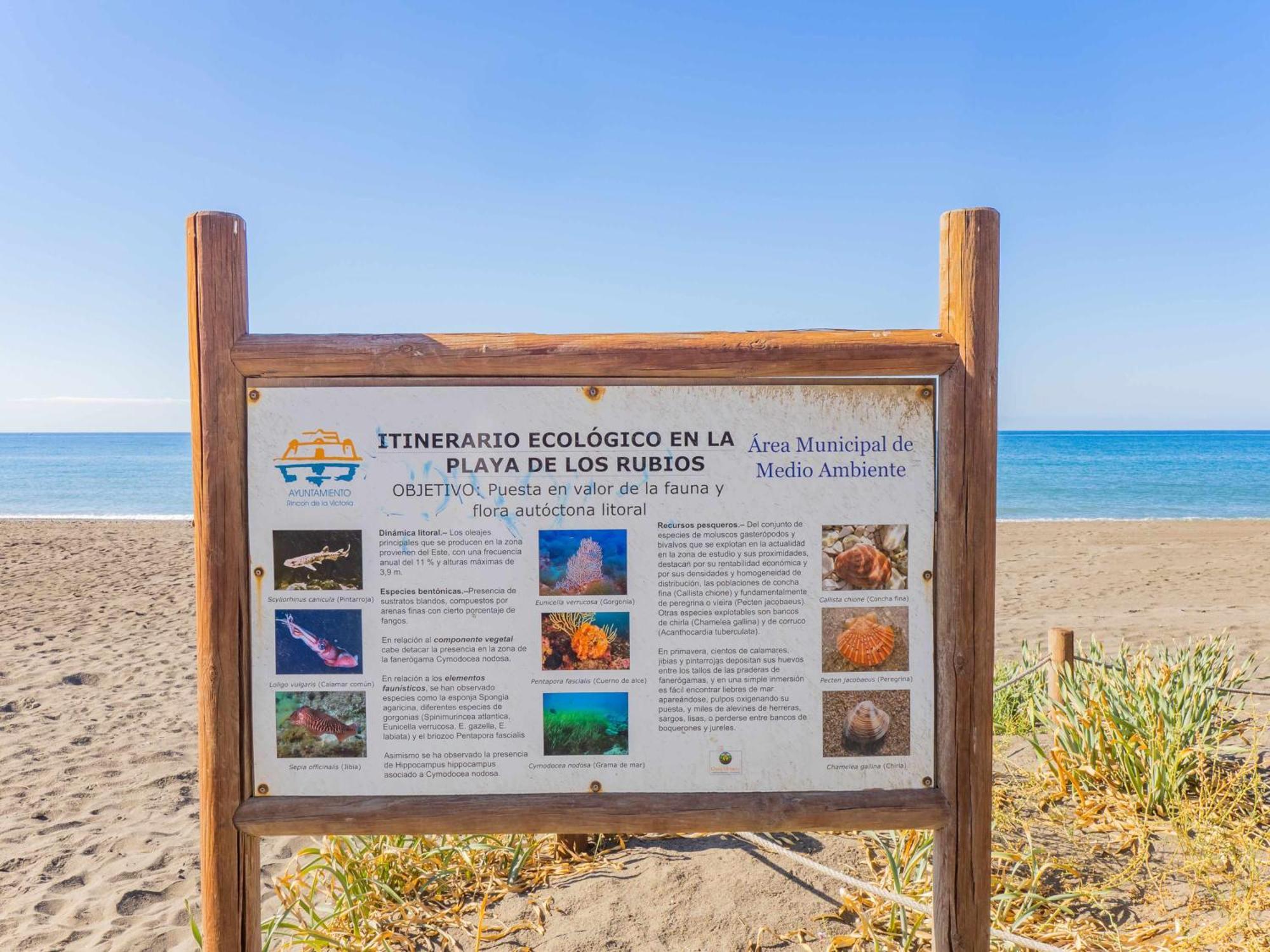 Apartamento Nuevo Con Piscina Y Parking En La Playa Torre de Benagalbon Exterior foto